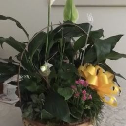 Floral Delivery Floral Delivery