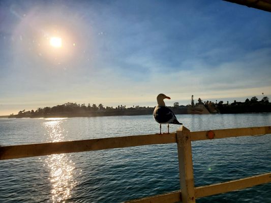 Riva Fish House by null