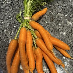 Paper Kite Farm - Bunch of carrots