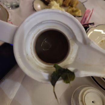 Phoenicia Restaurant - No mint leaves in the "fresh mint tea" - Lebanese Near Me - Glendale, California Phoenicia Restaurant - No mint leaves in the "fresh mint tea" - Lebanese Near Me - Glendale, California