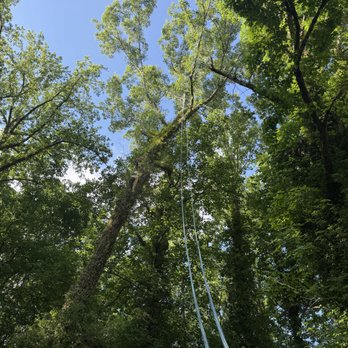 ArboPro Tree Services and Landscaping - Tree Services Near Me - Flowery Branch, Georgia ArboPro Tree Services and Landscaping - Tree Services Near Me - Flowery Branch, Georgia