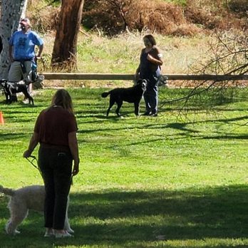 Trained Goldens - A brief pause and relax as we practice walking and healing. - Pet Training Near Me Trained Goldens - A brief pause and relax as we practice walking and healing. - Pet Training Near Me