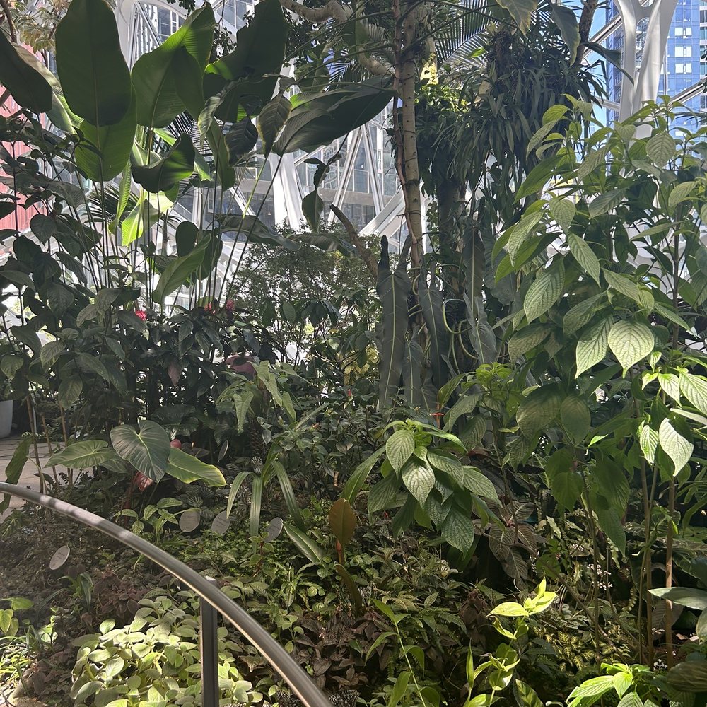 Amazon Spheres - Botanical Gardens Near Me - Seattle, Washington Amazon Spheres - Botanical Gardens Near Me - Seattle, Washington