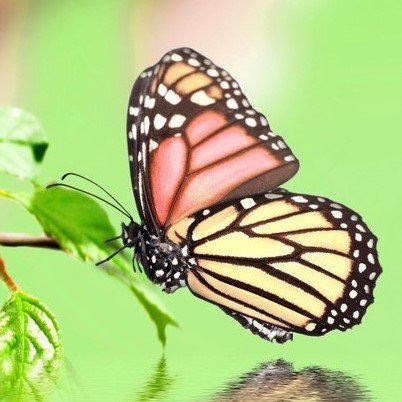 Coffee with Jane - grief counselor in Freeport, FL