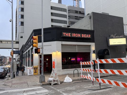 The Iron Bear by null