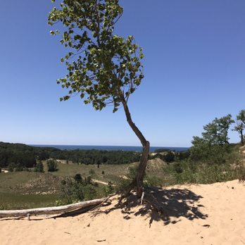 Saugatuck Dune Rides - Tours Near Me - Saugatuck, Michigan Saugatuck Dune Rides - Tours Near Me - Saugatuck, Michigan