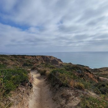 Torrey Pines State Reserve - Parks Near Me - La Jolla, California Torrey Pines State Reserve - Parks Near Me - La Jolla, California