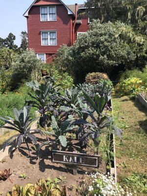 Stanford Inn & Resort on the Mendocino Coast by null