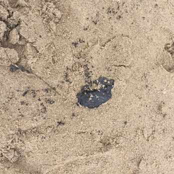 El Capitan State Beach - sticky tar bubbles from rigs offshore. Sad! - Parks Near Me - Goleta, California El Capitan State Beach - sticky tar bubbles from rigs offshore. Sad! - Parks Near Me - Goleta, California