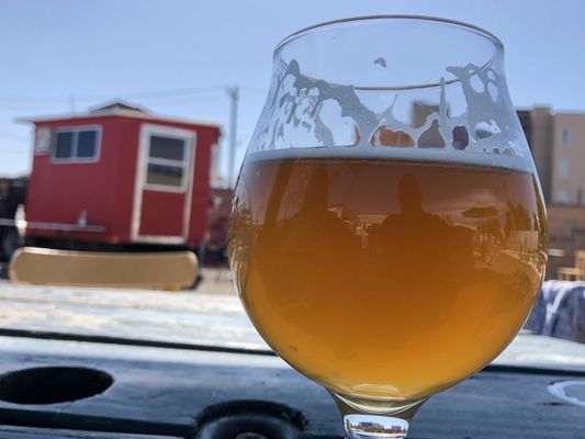 Backyard Tap by null