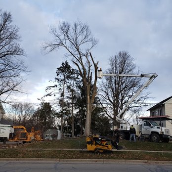 J's Tree Trimming & Removal - Removal of declining Hardwood, to protect the customers property. - Tree Services Near Me - Ann Arbor, Michigan J's Tree Trimming & Removal - Removal of declining Hardwood, to protect the customers property. - Tree Services Near Me - Ann Arbor, Michigan