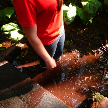 Tongass National Forest - watch out for the sinking mud! - Parks Near Me - Ketchikan, Alaska Tongass National Forest - watch out for the sinking mud! - Parks Near Me - Ketchikan, Alaska