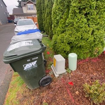 Cool Cat Fence - The area where they dug and breached the power line. - Fences & Gates Near Me - Tukwila, Washington Cool Cat Fence - The area where they dug and breached the power line. - Fences & Gates Near Me - Tukwila, Washington