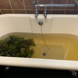 voya seaweed baths - After my seaweed bath!