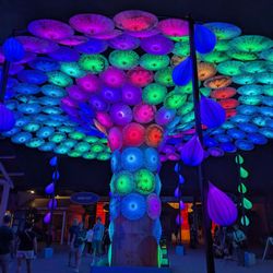 Asian Lantern Festival Cleveland Zoo