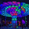 Asian Lantern Festival Cleveland Zoo gift card