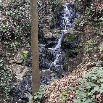 Piedmont Park - Nature at its Finest - Parks Near Me - Piedmont, California