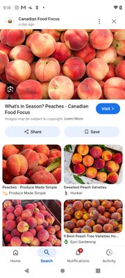 St. Michael's Cathedral Basilica by null