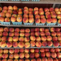a display of peaches