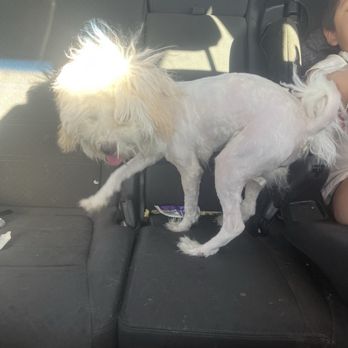 PetSmart - Pet Stores Near Me - Upland, California