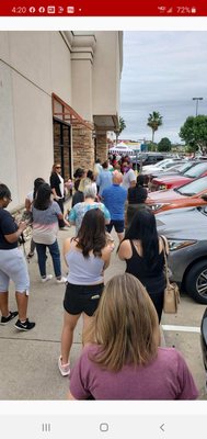 Nothing Bundt Cakes by null
