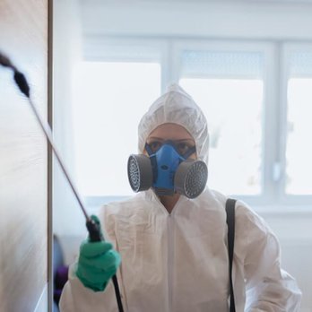 Active Pest Control - Pest Control Near Me