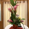 Lakeland Flowers gift card