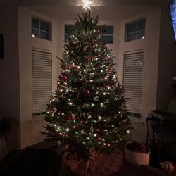 Mike's Tree Farm