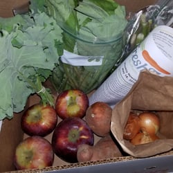 Fresh Fix - The first share