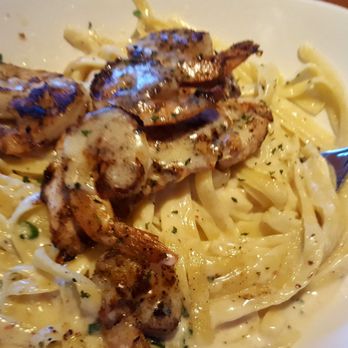 Outback Steakhouse - Queensland shrimp and chicken pasta - Steakhouses Near Me - Charlotte, North Carolina Outback Steakhouse - Queensland shrimp and chicken pasta - Steakhouses Near Me - Charlotte, North Carolina