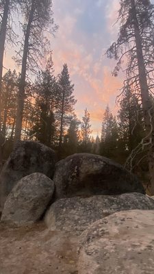 Tamarack Flat Campground by null