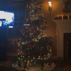 Tuckamony Farm - Christmas tree