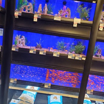 PetSmart - Pet Training Near Me - Kissimmee, Florida
