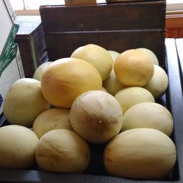 Local melons Local melons