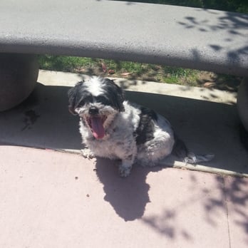 Drigon Dog Park - happy dog happy life - Dog Parks Near Me - Union City, California