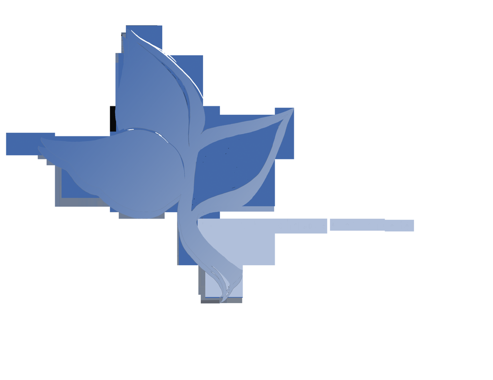 Lowry Hill Psychotherapy and Assessment Center - child therapist in Minneapolis, MN