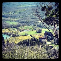 Tenuta Lupinari - La Tenuta Lupinari e' un posto magico dove poter passare una vacanza in totale relax immerso nel verde delle colline Toscane