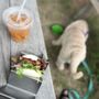 Photo of Chopsticks