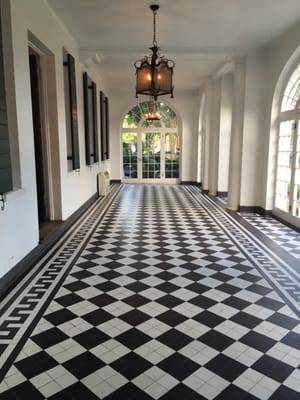 Lowndes Grove by null