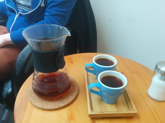 Black & Bloom by null