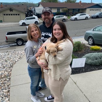 Milo Foundation - Little Ricky's "Gotcha Day!" Thanks to Allison, Marianne and Mandy! - Pet Adoption Near Me - Point Richmond, California Milo Foundation - Little Ricky's "Gotcha Day!" Thanks to Allison, Marianne and Mandy! - Pet Adoption Near Me - Point Richmond, California