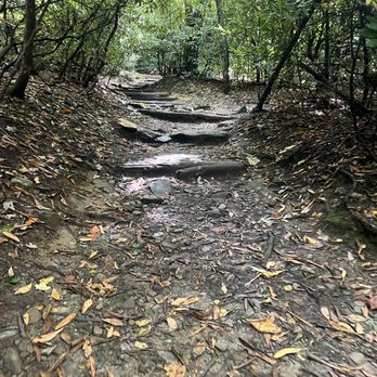 Lookout Trail and Mountain - Steep climb up - Hiking Near Me - Montreat, North Carolina