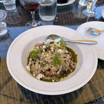 Calcareous Vineyard - Mushroom Risotto was delizioso, all of our lunch choices were so good - Wine Tasting Room Near Me - Paso Robles, California
