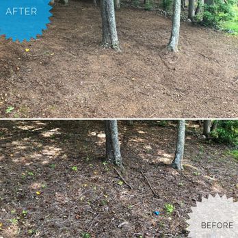 Hyco Helping Hands - Tree Services Near Me Hyco Helping Hands - Tree Services Near Me