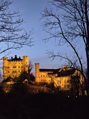 Hohenschwangau Castle by null