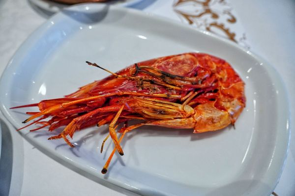 Restaurant - Cervejaria Ramiro by null