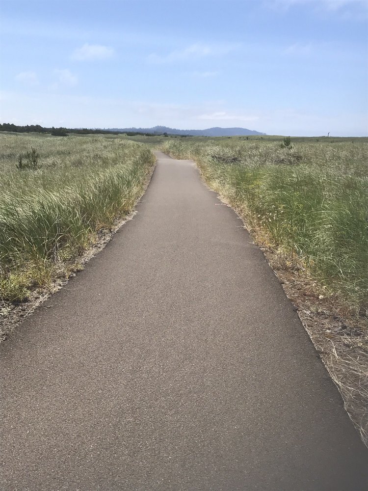 BEACHIN’ BIKE RENTALS Long Beach, Washington Bike Rentals Phone