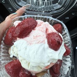 Garfield Creamery - Oreo ice cream on top of funnel cake with strawberry stuff