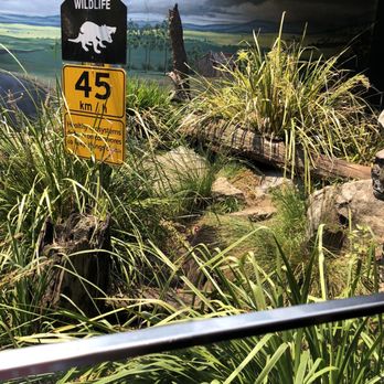 Taronga Zoo - Zoos Near Me - Mosman, NSW