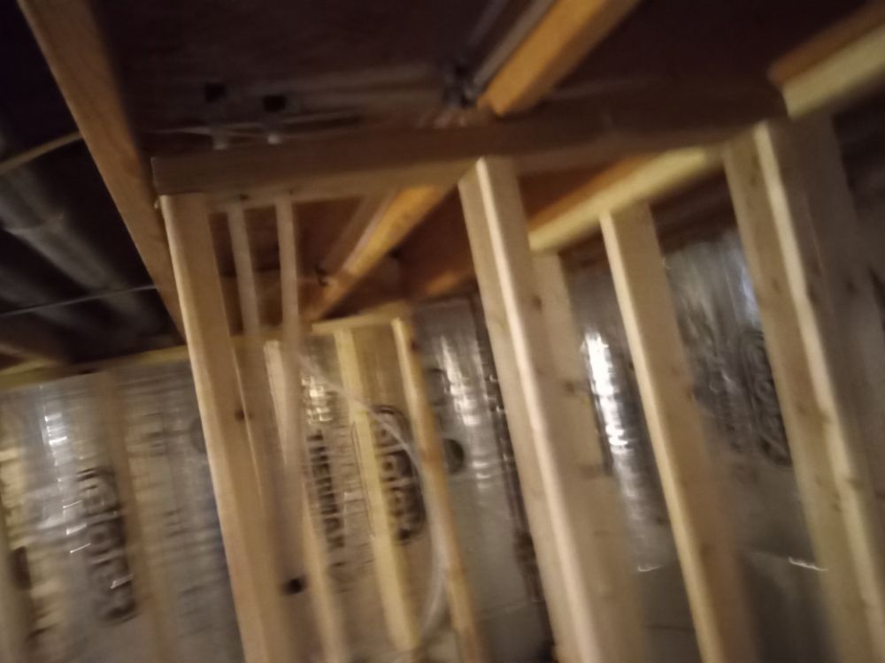 Slide of The Randyman